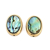 Natural Paua Shell Beads SSHEL-M024-03B-G-1