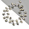 Natural Dalmatian Jasper Beads Strands G-Q167-A20-02-2