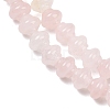 Natural Rose Quartz Beads Strands G-P595-C04-01-4