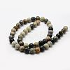 Natural Polychrome Jasper/Picasso Stone/Picasso Jasper Bead Strands G-G667-01-8mm-2