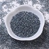 MIYUKI Delica Beads X-SEED-J020-DB0179-2