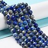 Natural Lapis Lazuli Beads Strands G-J400-E10-06-2