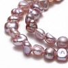 Natural Cultured Freshwater Pearl Beads Strands PEAR-A005-05J-01-3
