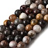 Natural Mexico Crazy Agate Beads Strands X-G-L615-A01-02-3
