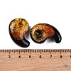Luminous Handmade Silver Foil Lampwork Beads LAMP-F022-05E-5