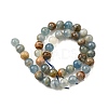 Natural Blue Calcite Beads Strands G-H312-C02-10mm-3