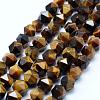 Natural Tiger Eye Beads Strands G-F523-45-6mm-1