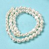 Natural Cultured Freshwater Pearl Beads Strands PEAR-E017-05-3