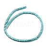 Dyed Synthetic Turquoise Beads Strands G-G075-B02-03-2