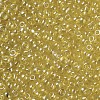 8/0 Glass Seed Beads SEED-A006-3mm-110-2