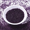 MIYUKI Delica Beads X-SEED-J020-DB1312-2