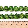 Handmade Lampwork Beads Strands LAMP-T021-26G-4