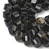 Natural Golden Sheen Obsidian Beads Strands G-C267-B18-4