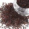 11/0 FGB Grade A Round Glass Seed Beads SEED-N001-D-224-1