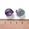 Natural  Fluorite Teacher Apple Charms G-Z022-02A-P-3