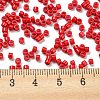 Baking Paint Glass Seed Beads SEED-S042-05A-33-4