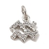 Brass Micro Pave Cubic Zirconia Charms KK-E077-02P-09-1