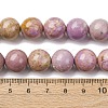 Natural Lepidolite/Purple Mica Stone Beads Strands G-K401-A01-12mm-5