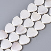 Electroplate Natural Shell Beads Strands X-BSHE-Q034-003D-1
