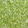 6/0 Spray Paint Fringe Glass Seed Beads X1-SEED-H003-11N-2