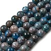 Natural Apatite Beads Strands G-D340-A02-8mm-2