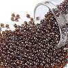 TOHO Round Seed Beads X-SEED-TR11-0177-1