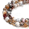 Dyed Natural Fire Crackle Agate Beads Strands G-G007-01G-4