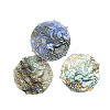 Natural Labradorite Carved Cabochons PW-WG73083-01-1