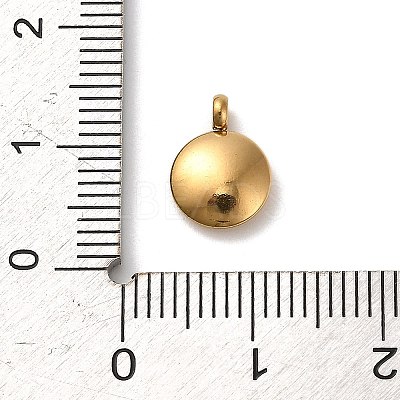 304 Stainless Steel Black Enamel Charms LS-STAS-R009-02G-06-1