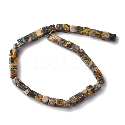 Natural Map Stone Beads Strands G-T139-8x8-45B-1