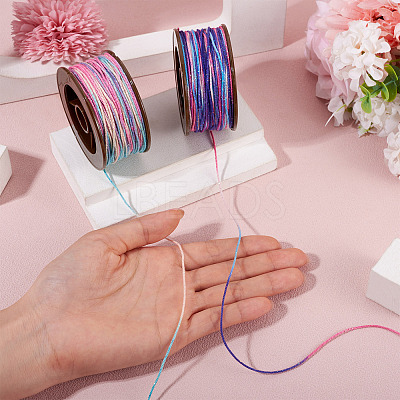 2 Rolls 2 Colors Segment Dyed Round Polyester Twisted Cords OCOR-TA0003-65D-1