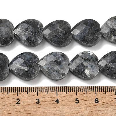 Natural Larvikite Beads Strands G-A309-A18-01-1