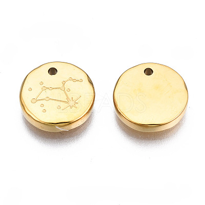 316 Surgical Stainless Steel Charms LS-STAS-S116-418H-G-1