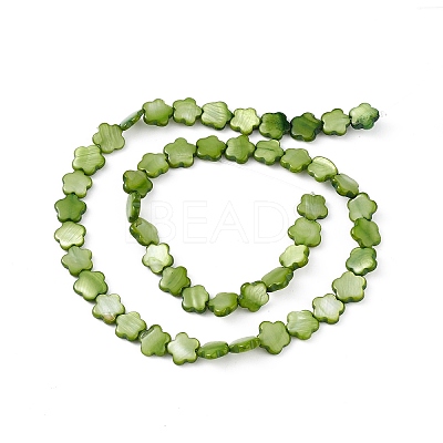 Natural Freshwater Shell Dyed Beads Strands SHEL-K001-001G-1