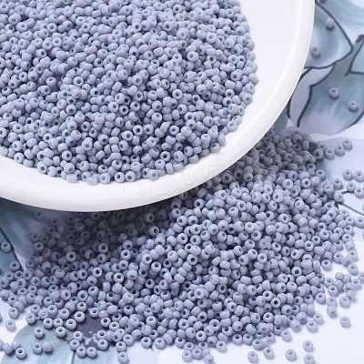 MIYUKI Round Rocailles Beads SEED-G007-RR0498-1