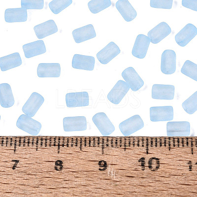 FGB Frosted Transparent Glass Seed Beads SEED-N013-05A-11-1