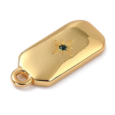 Brass Micro Pave Cubic Zirconia Charms LS-ZIRC-I054-12G-04-1