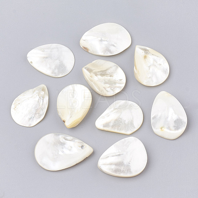 Natural White Shell Beads SHEL-T005-03-1