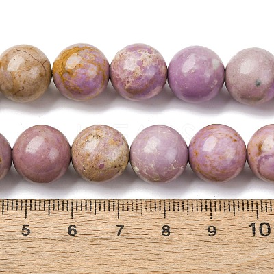 Natural Lepidolite/Purple Mica Stone Beads Strands G-K401-A01-12mm-1
