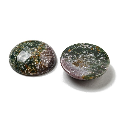 Natural Indian Agate Cabochons G-C115-02B-09-1