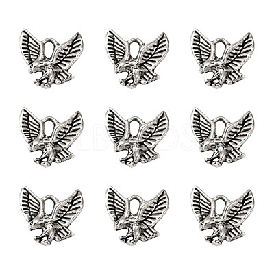 Tibetan Style Alloy Pendants X-TIBEP-20305-AS-NR-1