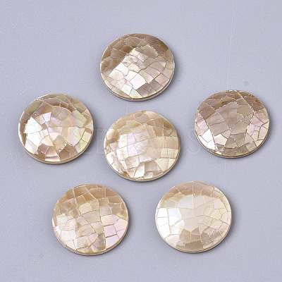 Natural Sea Shell Cabochons SSHEL-N034-44-1