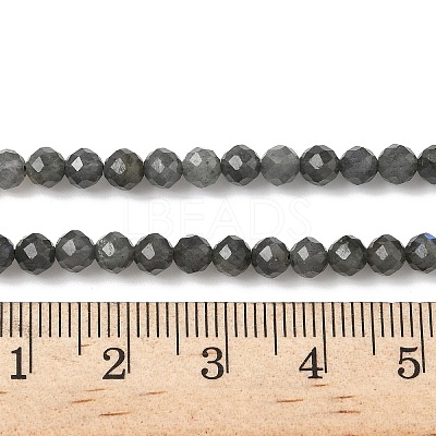 Natural Labradorite Beads Strands G-L622-C03-4mm-1