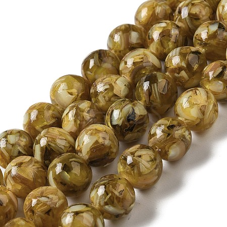 Freshwater Shell Beads Strands BSHE-L039-08A-02-1