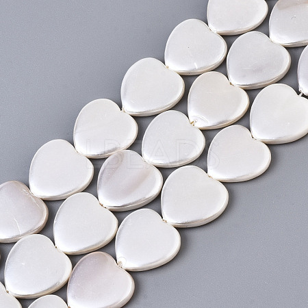 Electroplate Natural Shell Beads Strands X-BSHE-Q034-003D-1