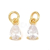 Brass Pave Cubic Zirconia Charms KK-K340-51G-09-1