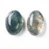 Natural Moss Agate Cabochons G-F697-E01-2