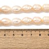 Natural Cultured Freshwater Pearl Beads Strands PEAR-I007-01E-01B-5