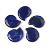 Natural Lapis Lazuli Home Display Decorations G-T131-12A-03-1