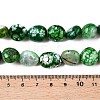 Dyed Natural Agate Beads Strands G-T138-229B-5